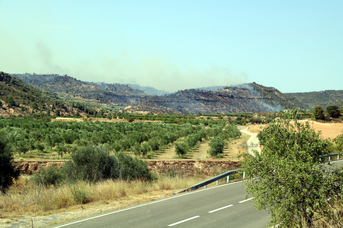 Imatge d'una carena cremada per l'incendi a la Ribera d'Ebre