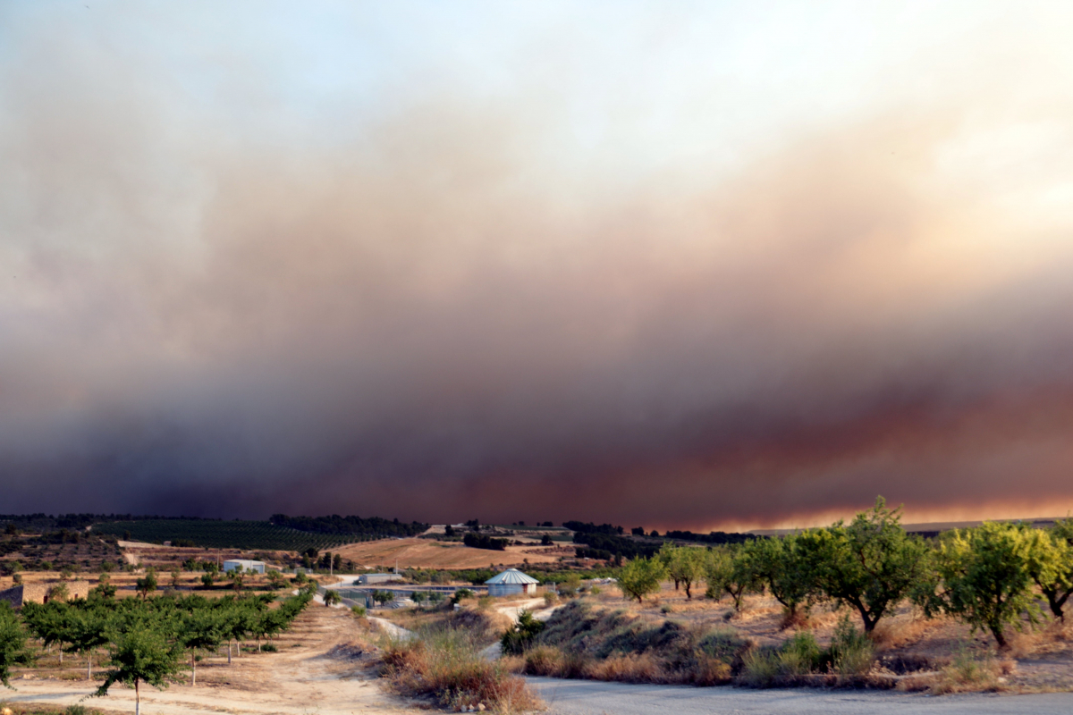 Imatges del fum que es pot veure des de Llardecans provinent de l'incendi que crema a la Ribera d'Ebre