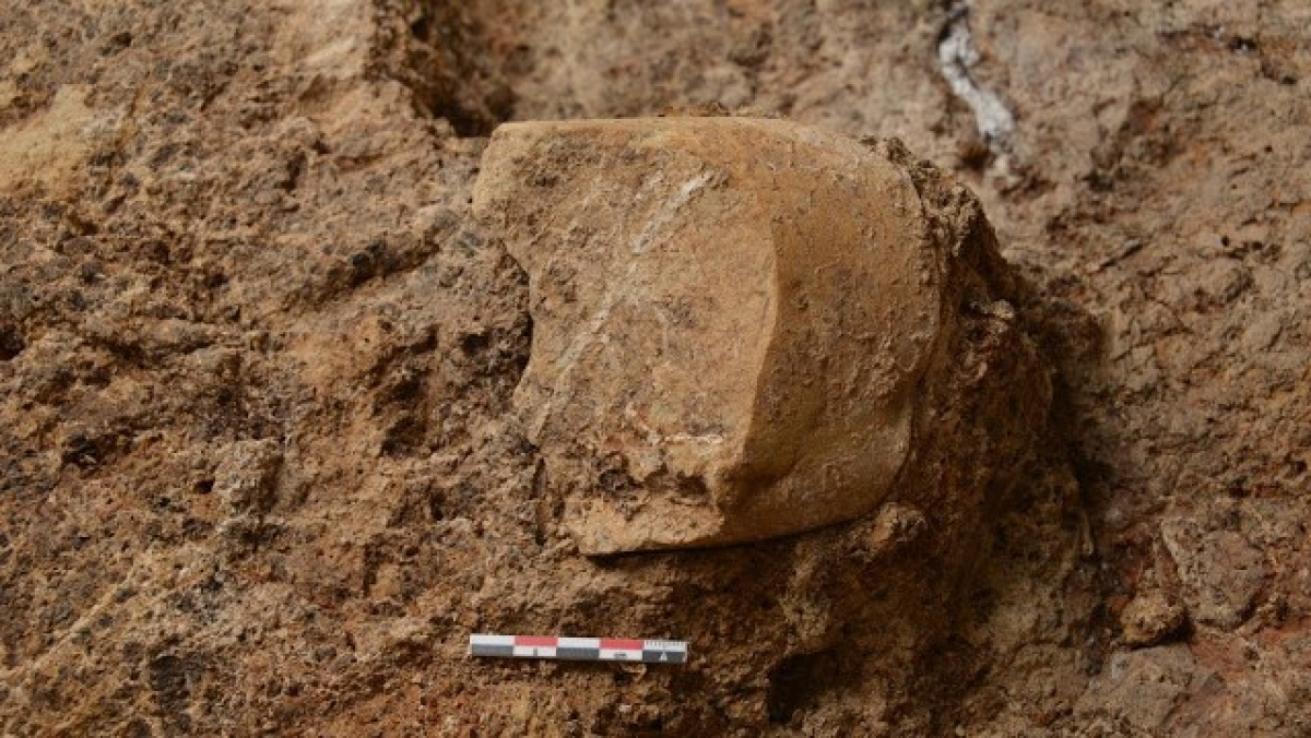 Una de les peces recuperades al nivell TD10-4, a Gran Dolina, una eina de pedra