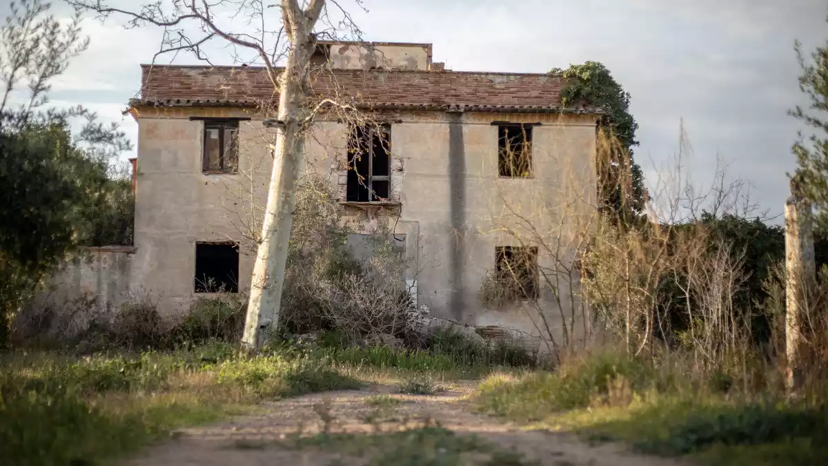 La Petita Galeria D Art Amagada En Un Mas Abandonat De Constanti