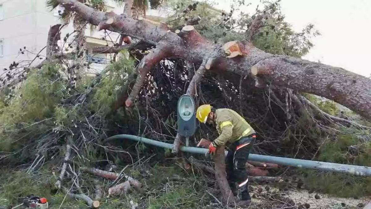 Nit Molt Moguda A Tarragona Pel Vent Els Bombers Atenen Una Quarantena D Incidents