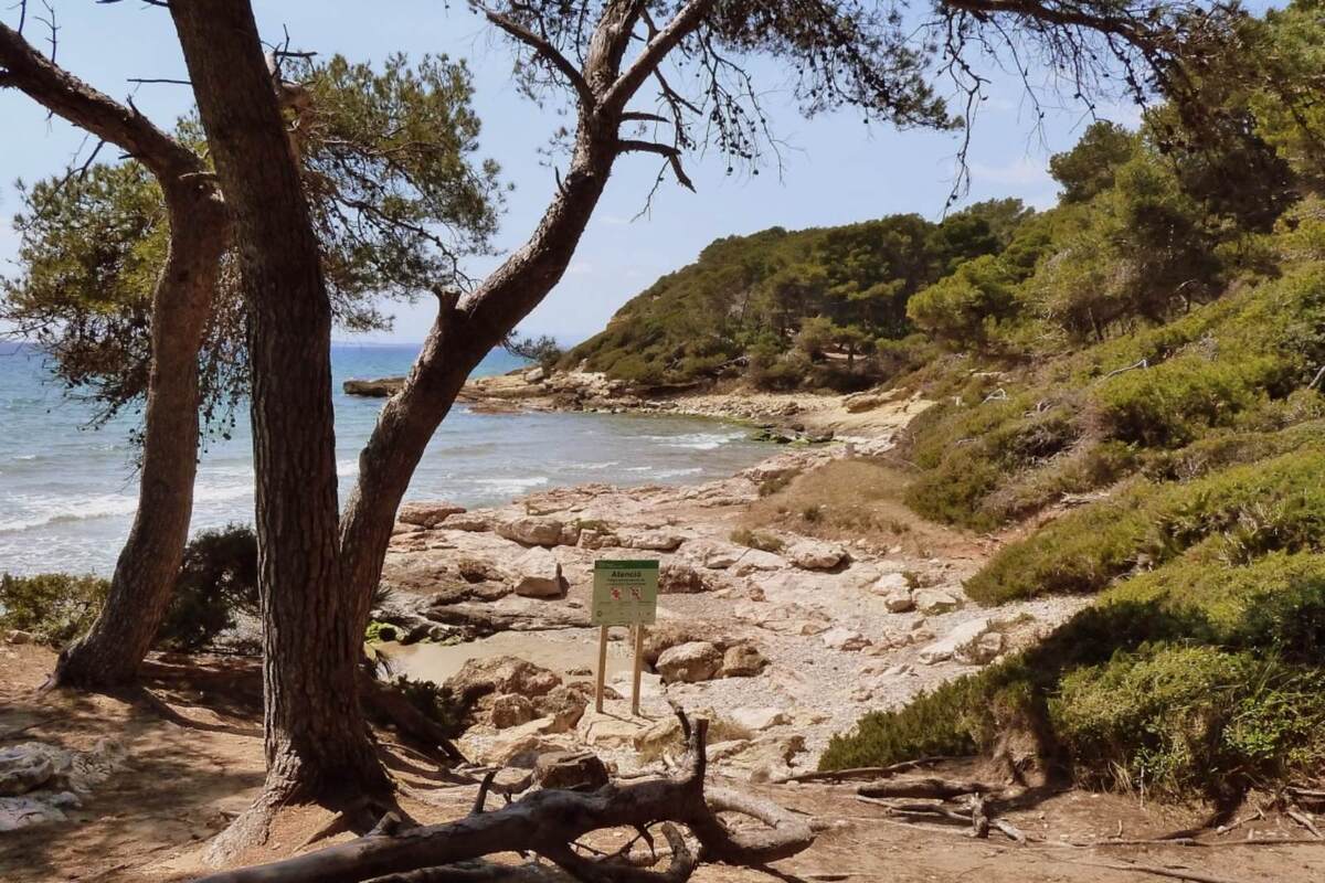 Les Millors Platges Per Fer Nudisme A Catalunya La Cala De Roca Plana A Tarragona