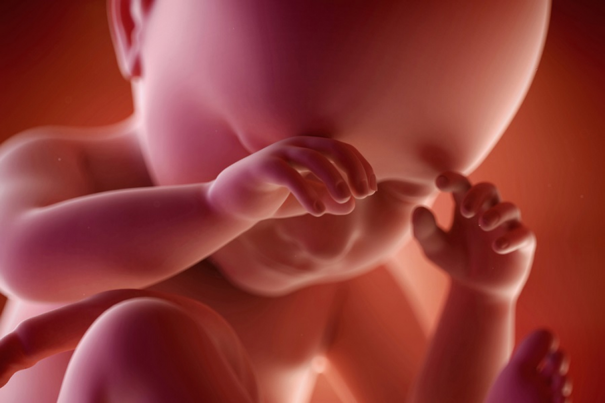 22 неделе плацента. Младенец в утробе.