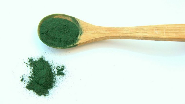 The Spirulina algae is a superfood with many health benefits