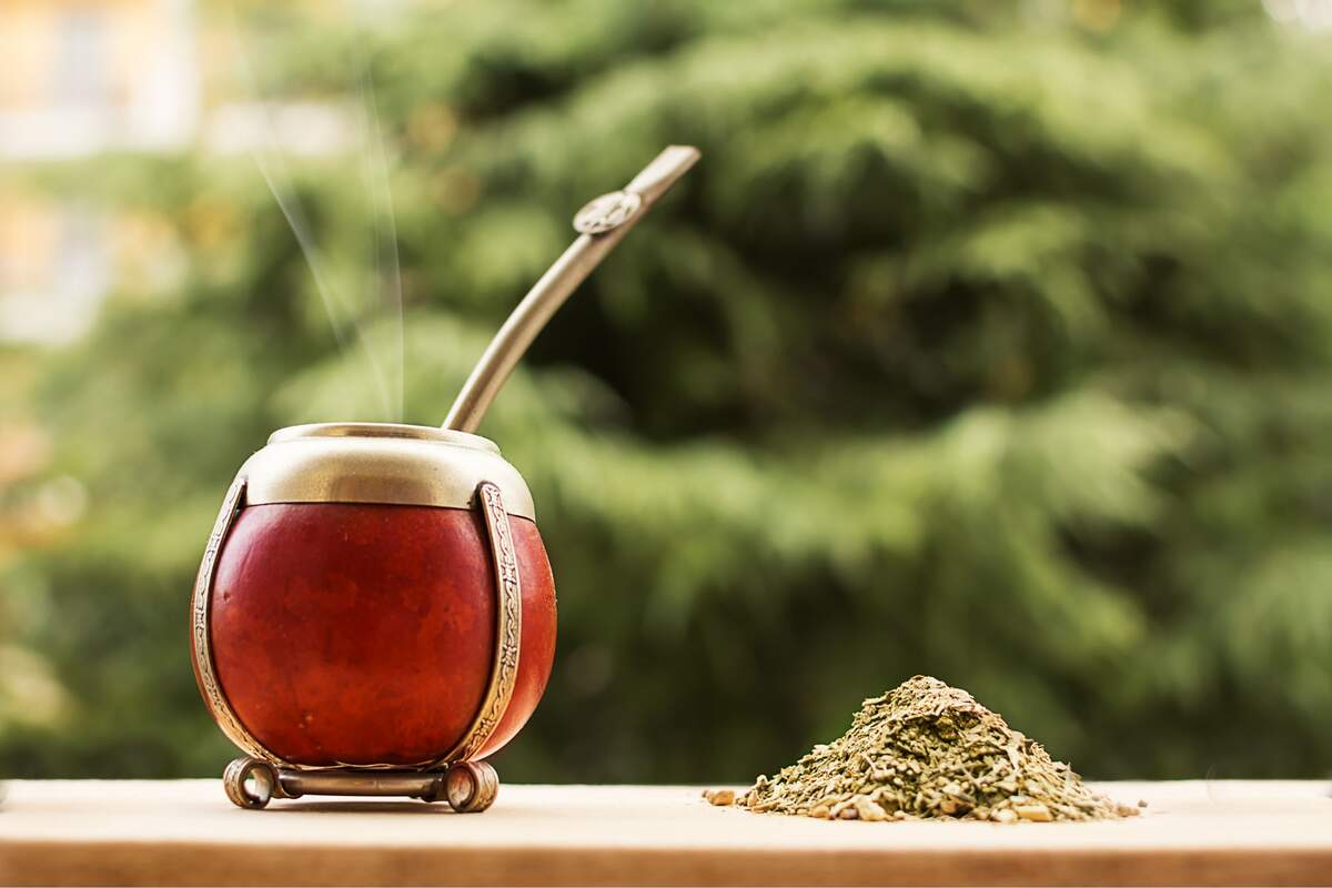 Yerba Mate: Definition And Benefits