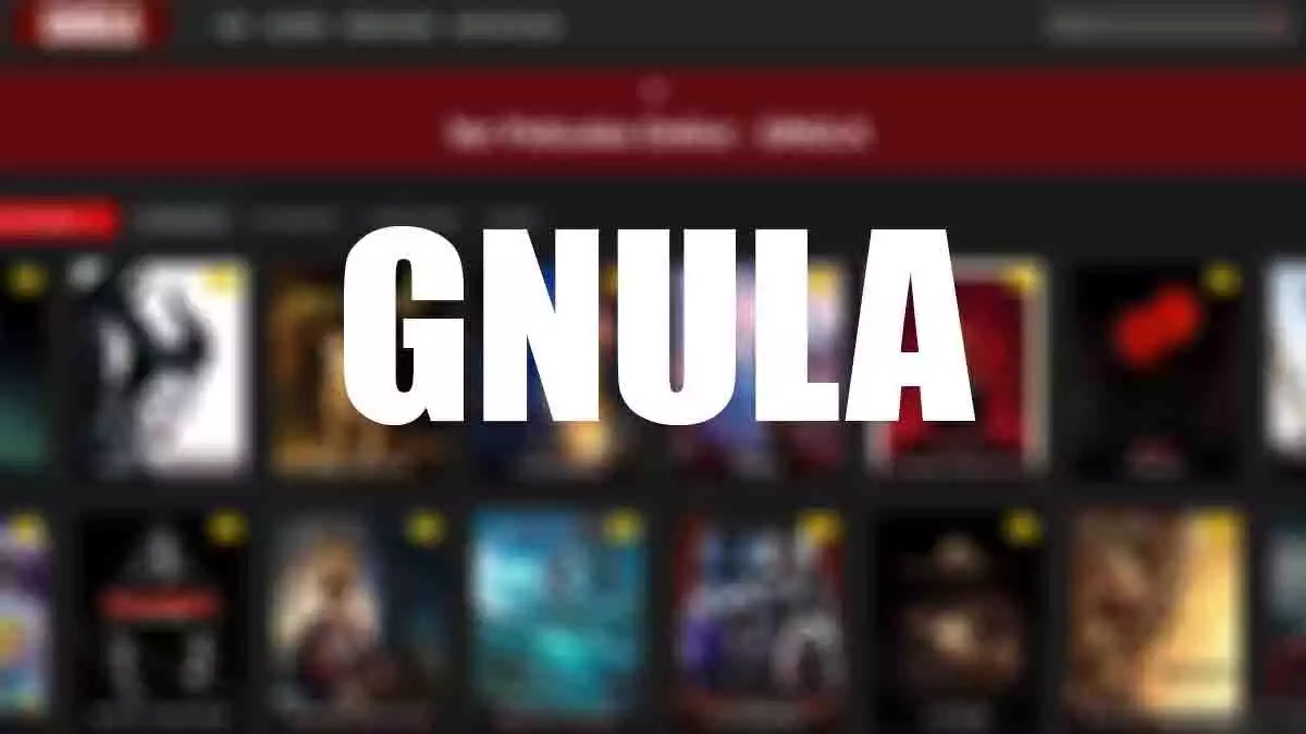 Gnula Review 