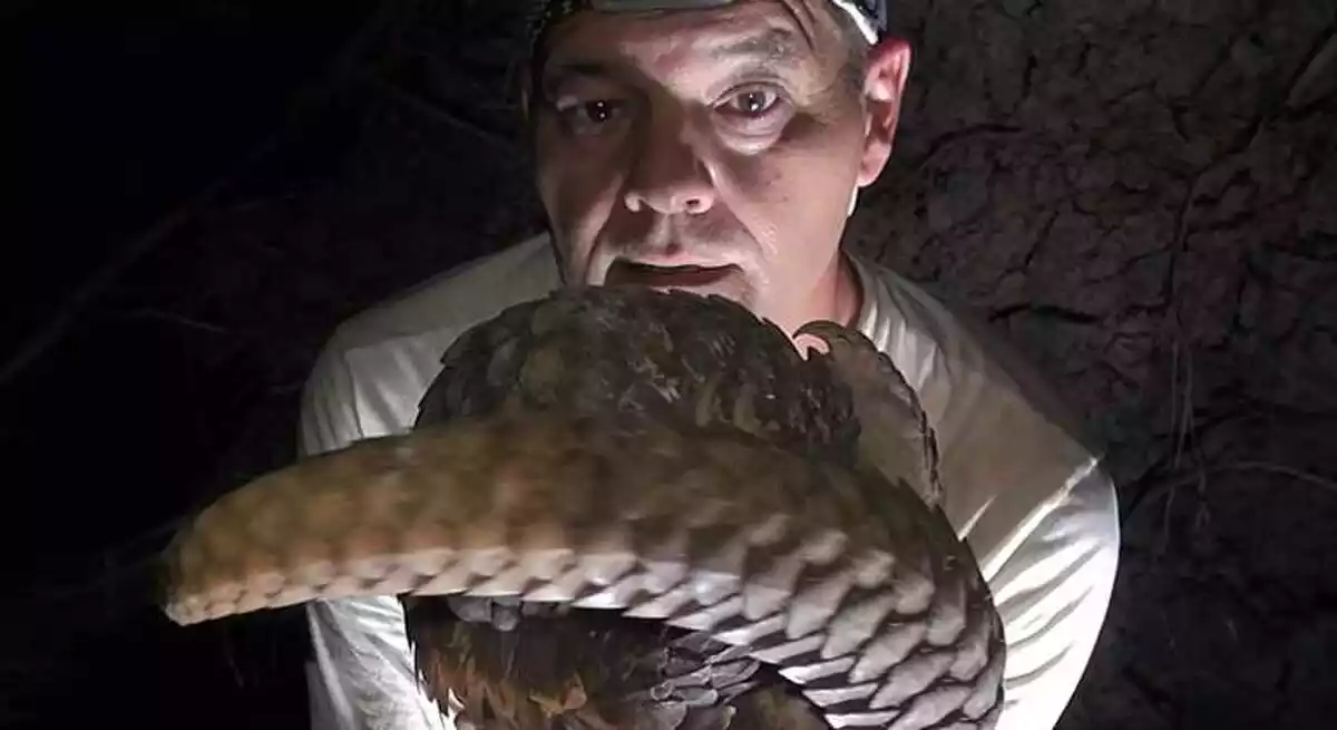 Captura del vídeo en Youtube de Frank Cuesta hablando del coronavirus Captura del vídeo en Youtube de Frank Cuesta hablando del coronavirus