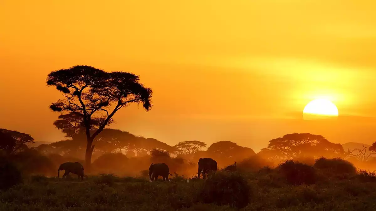 Hallan Un Gas Raro Que Descubre El Paisaje Africano