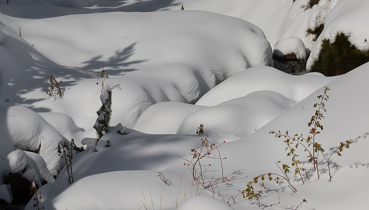 Imatges d'acumulació de neu al Pallars Sobirà