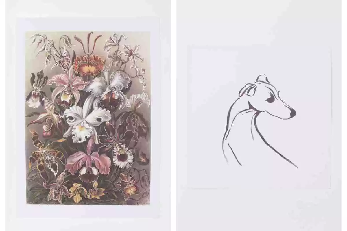 Fotografía del artículo de H&M Home, julio de 2020 Fotografía del artículo de H&M Home, julio de 2020