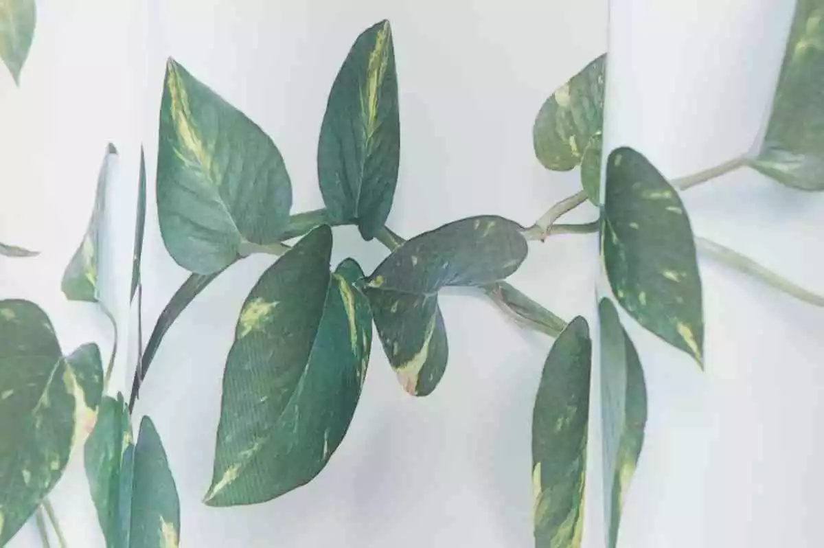 Fotografía del artículo de H&M Home, julio de 2020 Fotografía del artículo de H&M Home, julio de 2020