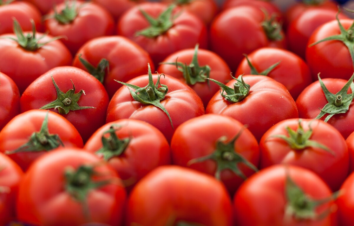 Las 7 Increíbles Propiedades Del Tomate Para Nuestra Salud 4257