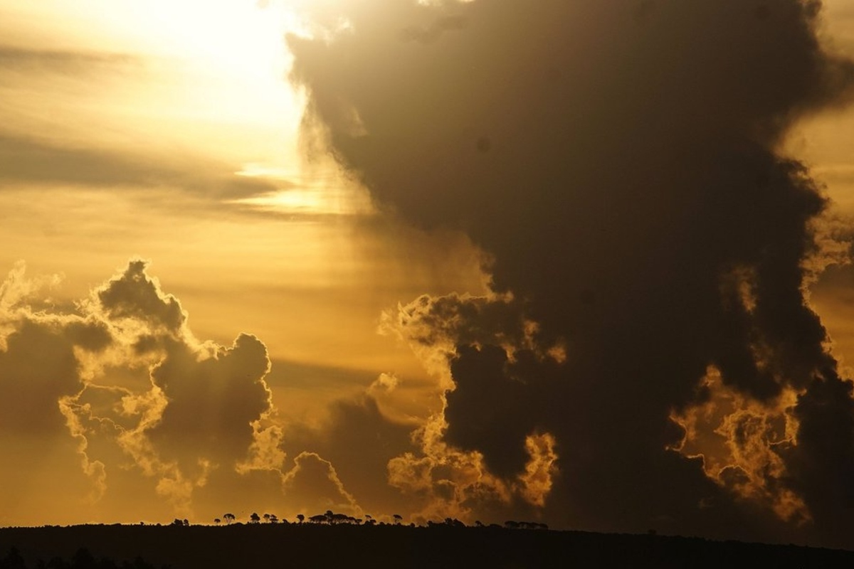 Cada Vez Más Tormentas De Tarde Con Calor Bastante Moderado