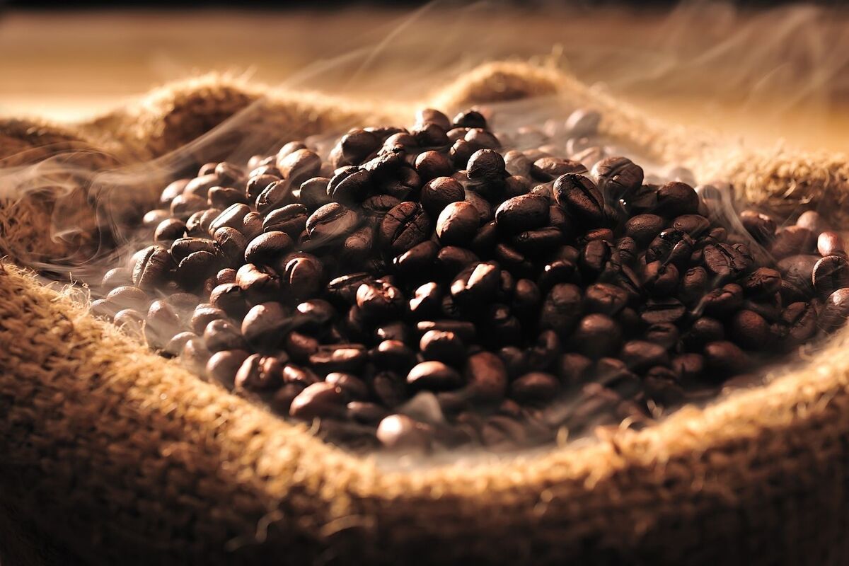 Granos de café de color marrón oscuro recién tostados en un saco de tela