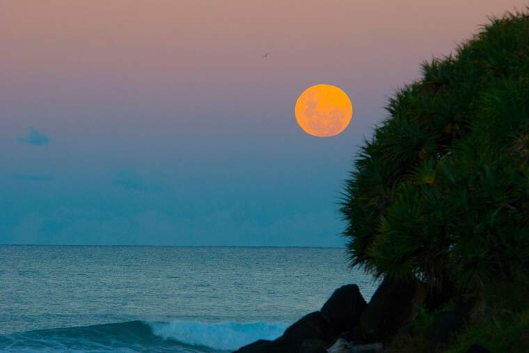 Yellow full moon and the ocean