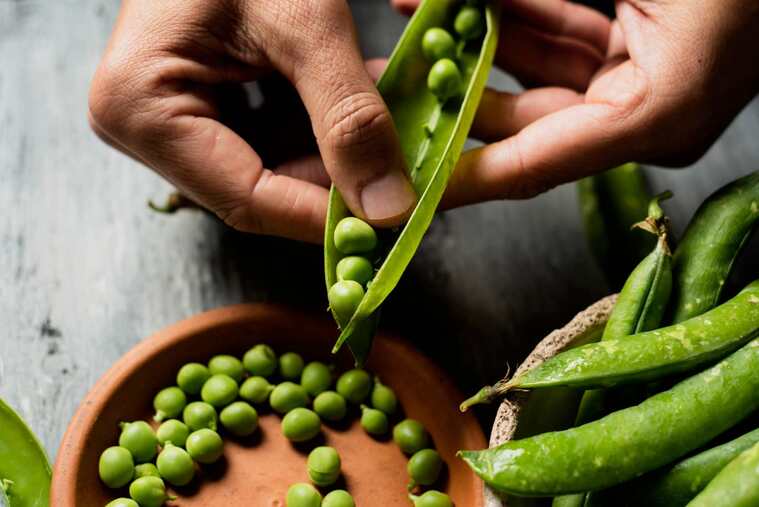 Alimentos Con Fibra