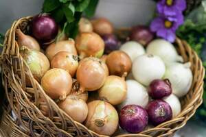 De sabor y olor característicos, las cebollas están repletas de beneficios.