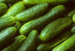 Delicioso, refrescante y muy nutritivo, el pepino es ideal para los meses de verano.