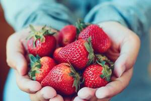 Deliciosas y nutritivas, las fresas son excelentes a cualquier hora del día.