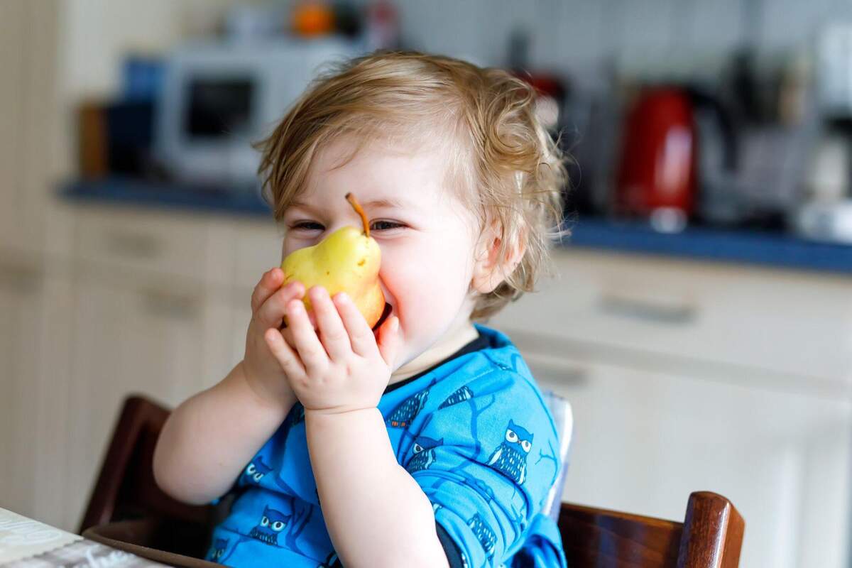 Cuales Son Las Mejores Vitaminas Para Los Niños