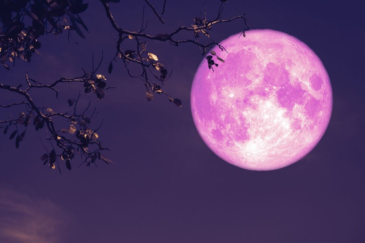 ¿Cuándo es la Luna Llena Rosada de abril y qué te depara según tu Signo?