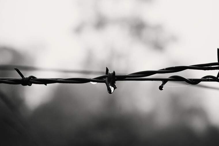 Imagen en blanco y negro de un alambra de espino