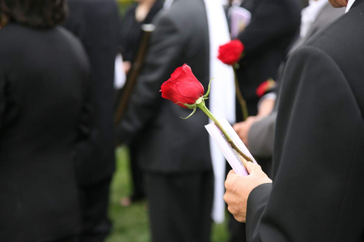 Primer plano de una rosa y un papel