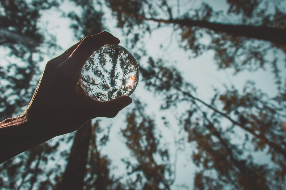 Primer plano de la mano de una persona sujetando una bola de cristal en el bosque