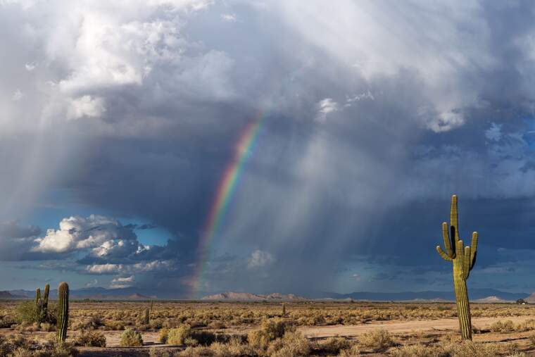 El desierto de Arizona con una arcoíris y varios cactus