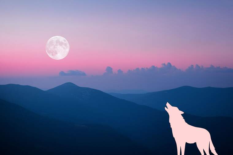 Imagen de una Luna Llena con un montañas de fondo y la silueta de un lobo aullando