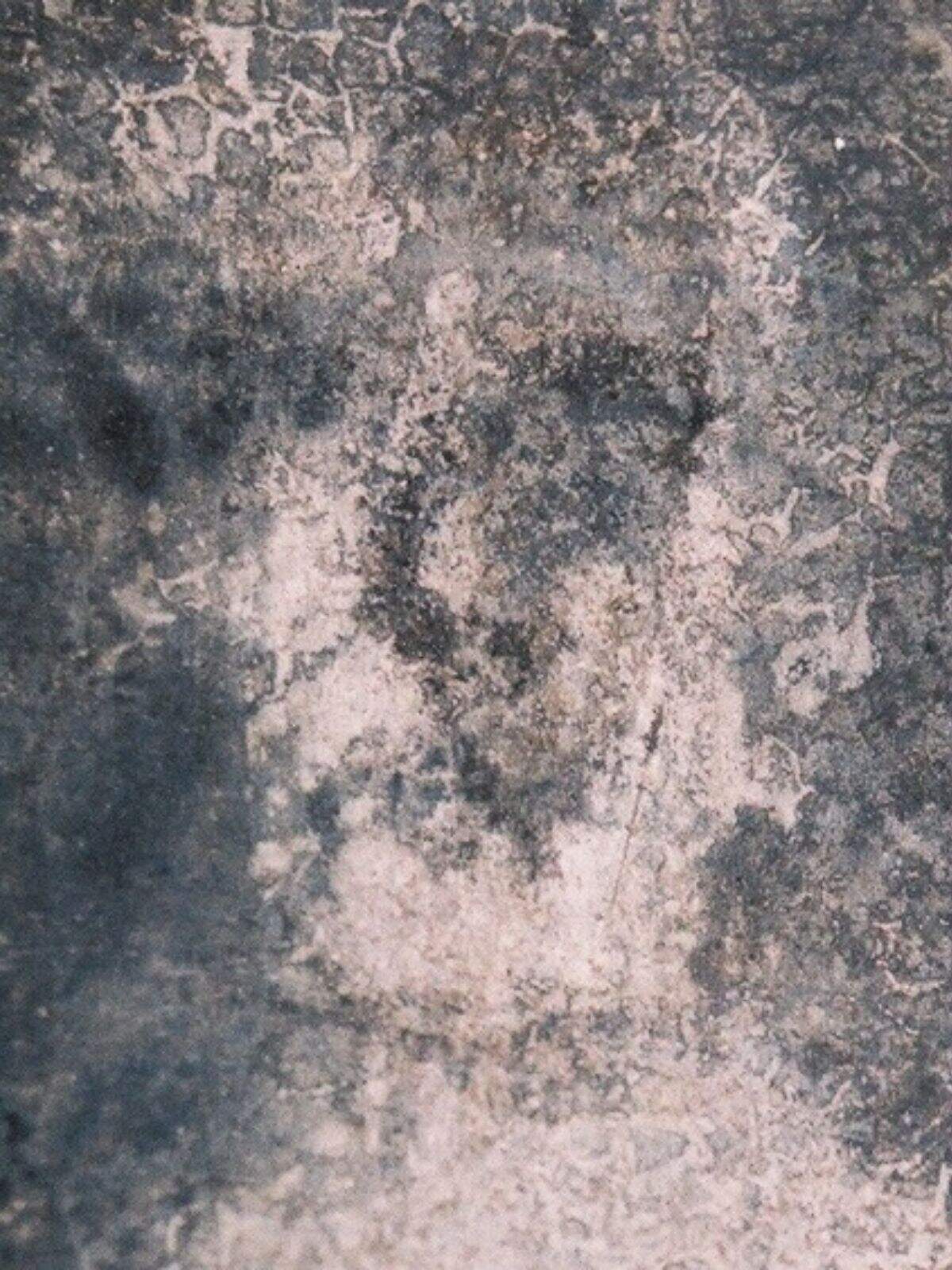Imagen de una de las caras de Bélmez Imagen de una de las caras de Bélmez