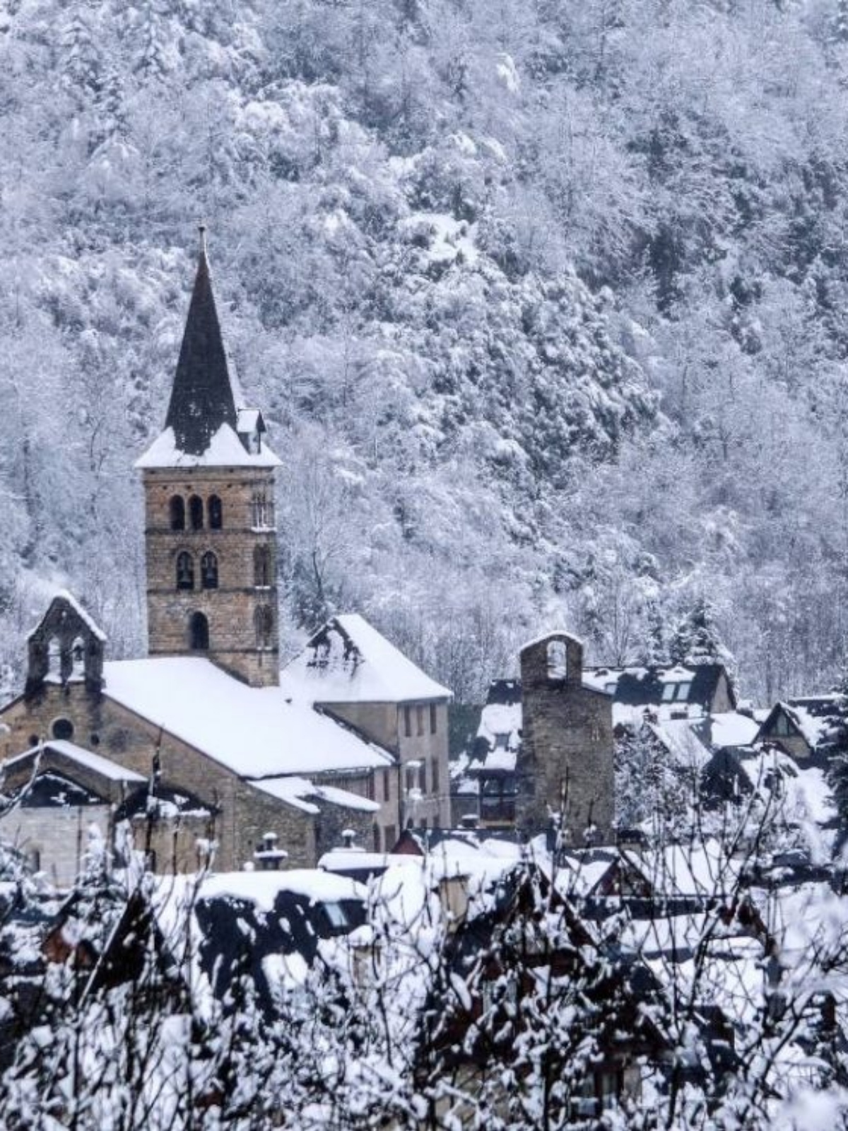 Arties nevado Arties nevado