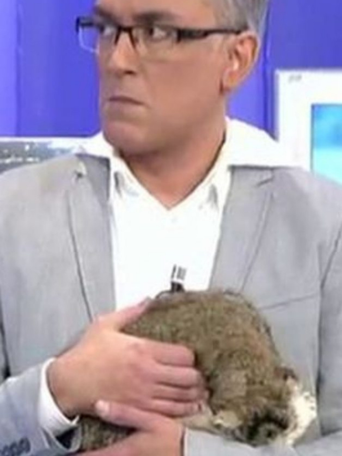 Imagen de Kiko Hernández en un plató de televisión con su gato disecado Pulgas Imagen de Kiko Hernández en un plató de televisión con su gato disecado Pulgas