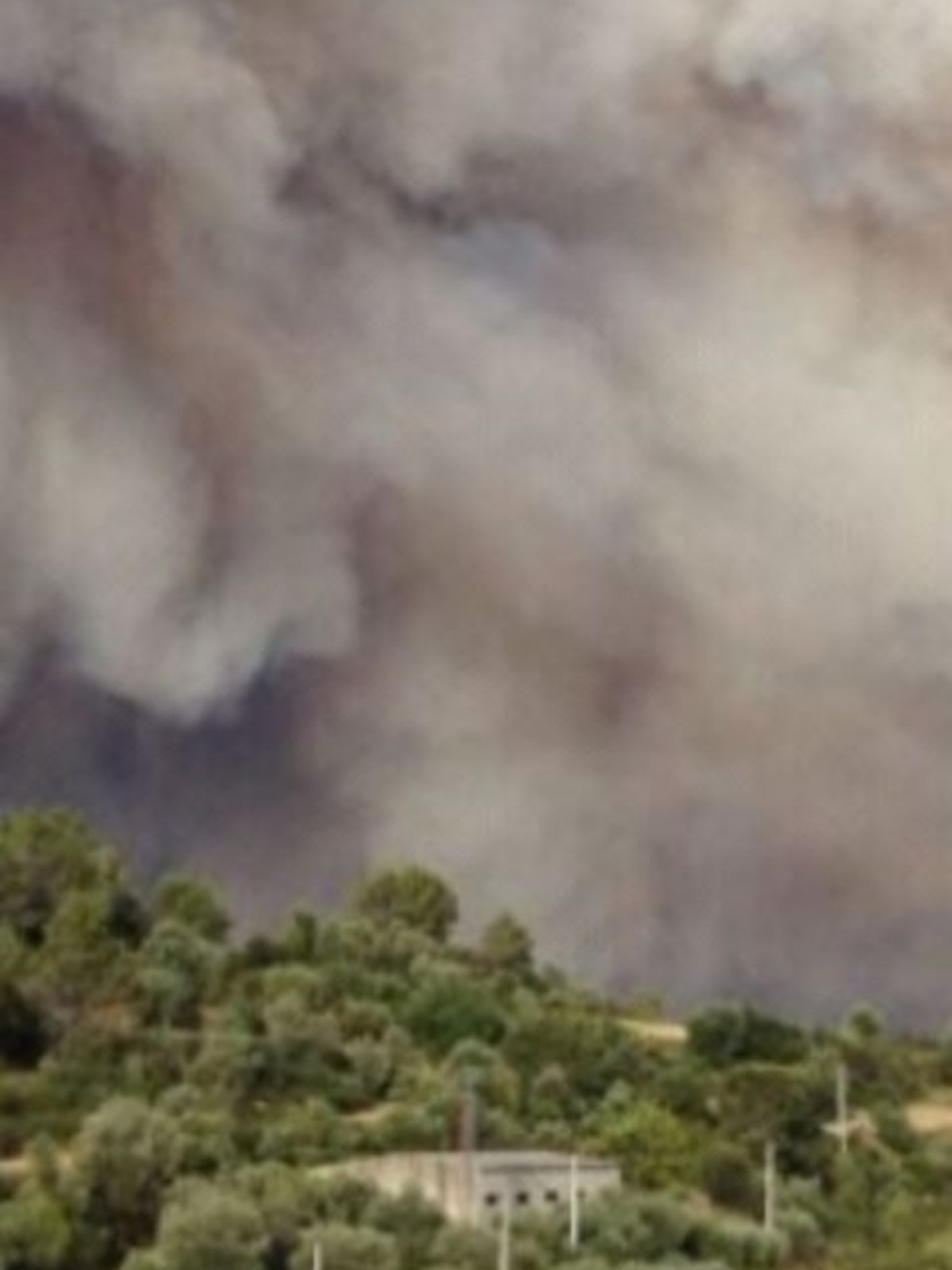 Imagen de los incendios de Ampurdán de 2012, localidades de La Junquera y Portbou (Gerona)