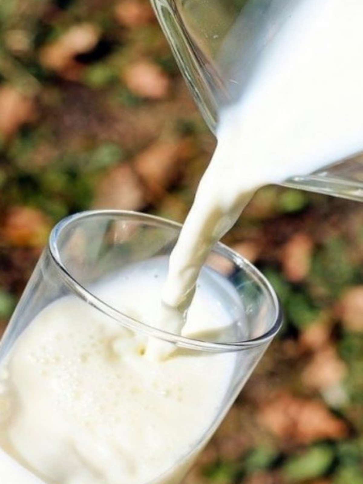 Imagen de una jarra vertiendo leche a un vaso Imagen de una jarra vertiendo leche a un vaso