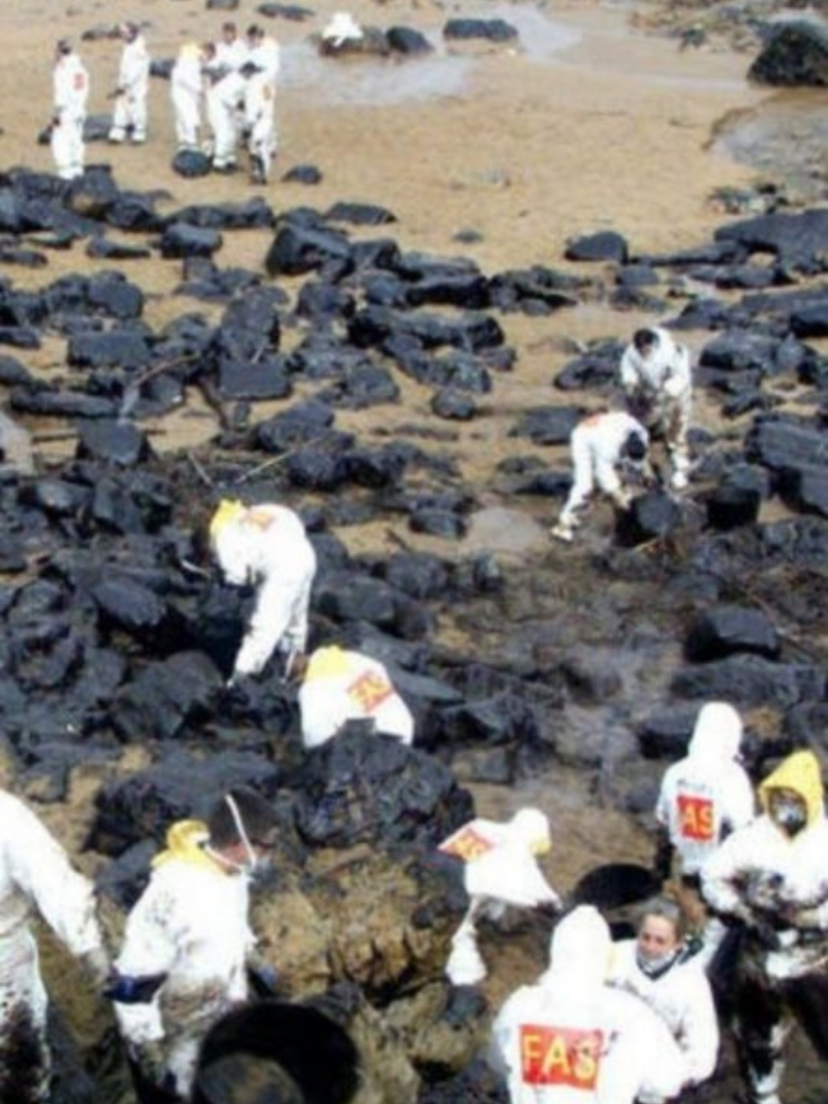 Imagen de voluntarios limpiando las costas tras el desastre del Prestige