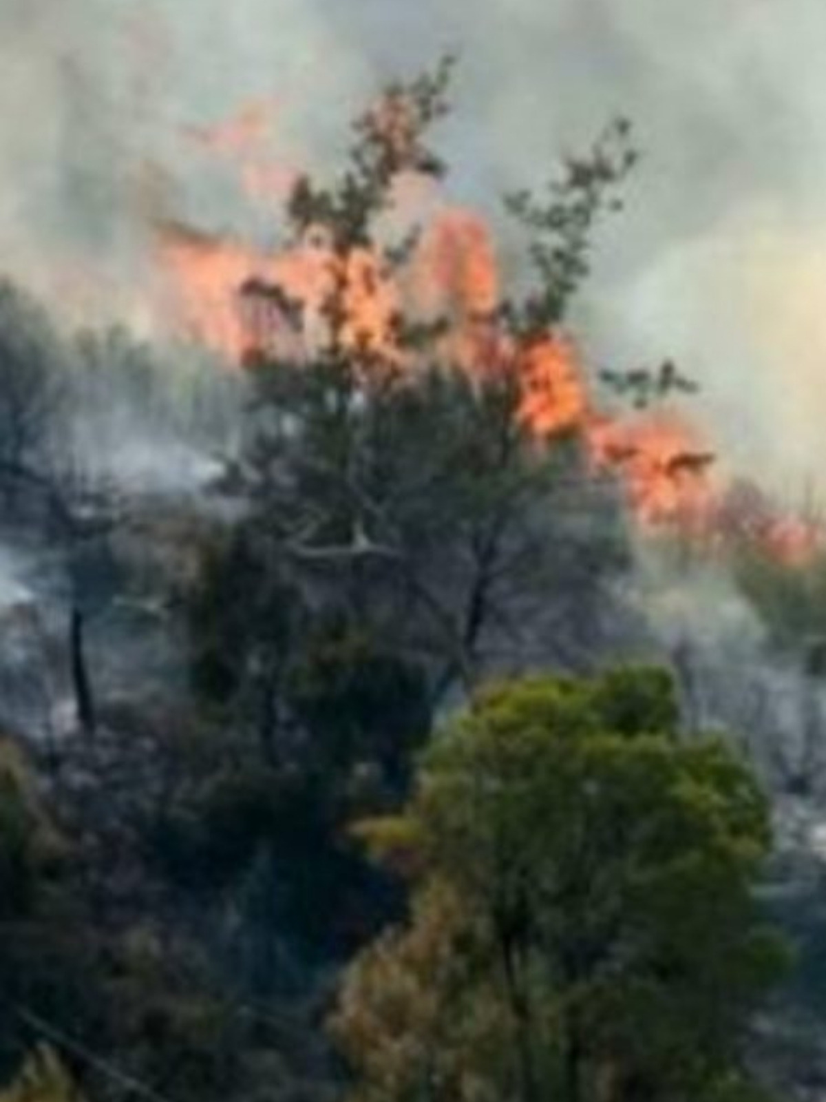 Imagen del incendio de Horta de San Juan (Tarragona) en el 2009