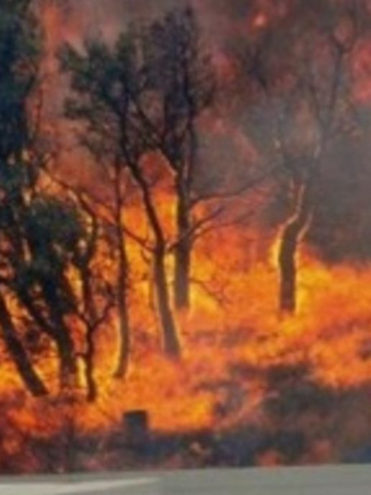 Imagen del incendio del Ampurdán de 2012