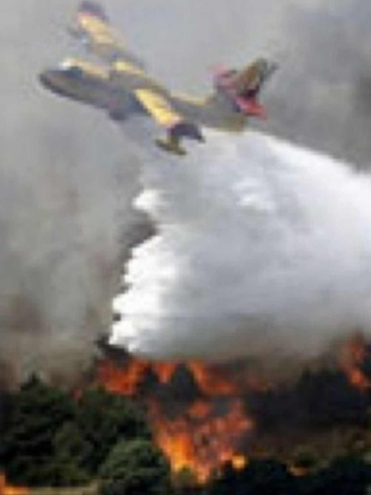 Un avión tratando de apagar el incendio de Horta de San Juan, en Tarragona, 2009
