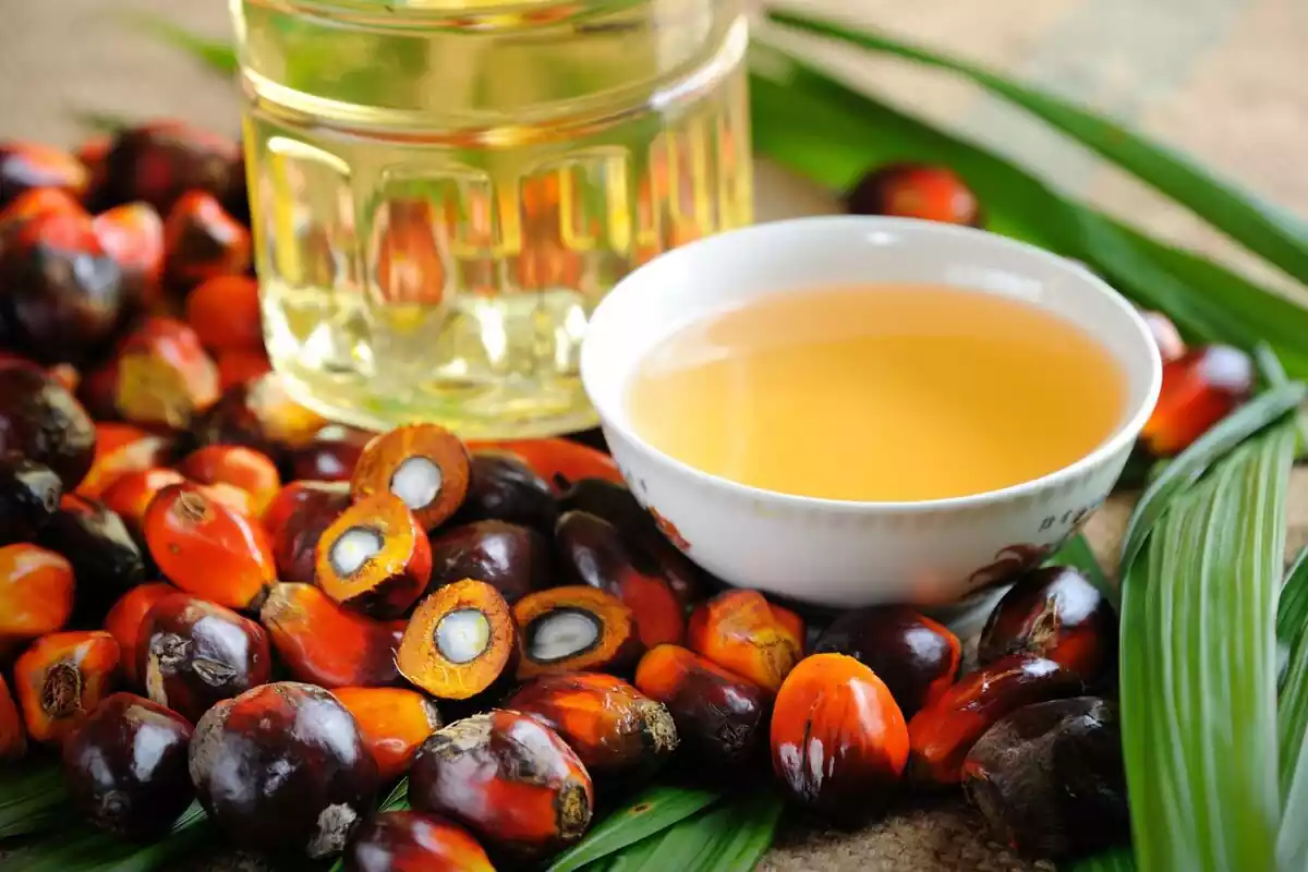 Por qué no deberías tomar productos con aceite de palma