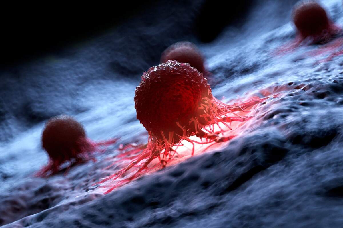 Varias células cancerosas de color rojo en un dibujo