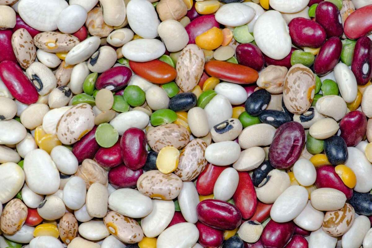 A variety of beans