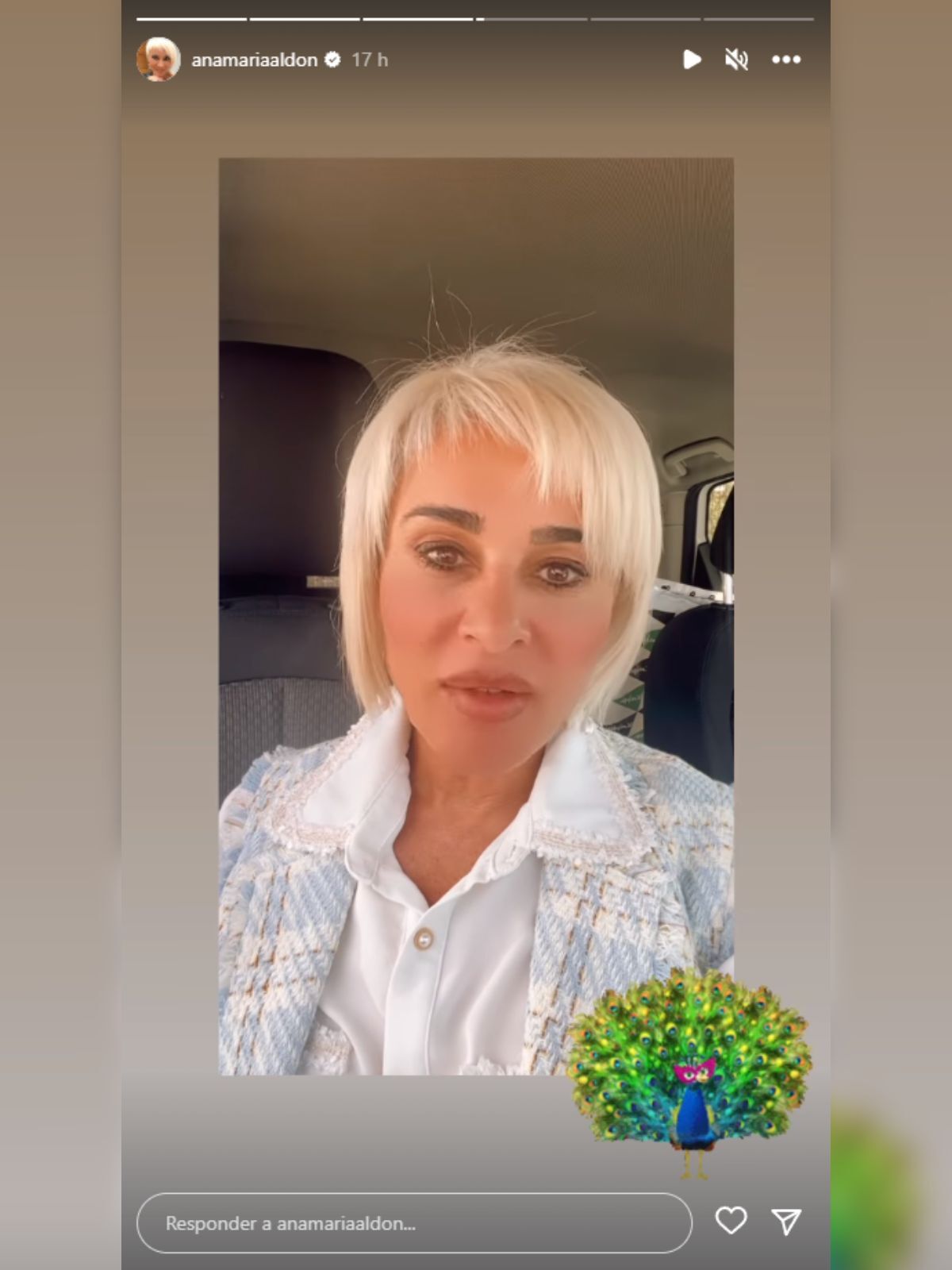 Storie de Ana María Aldón en Instagram en el coche con un stick de pavo real el 25 de abril de 2023