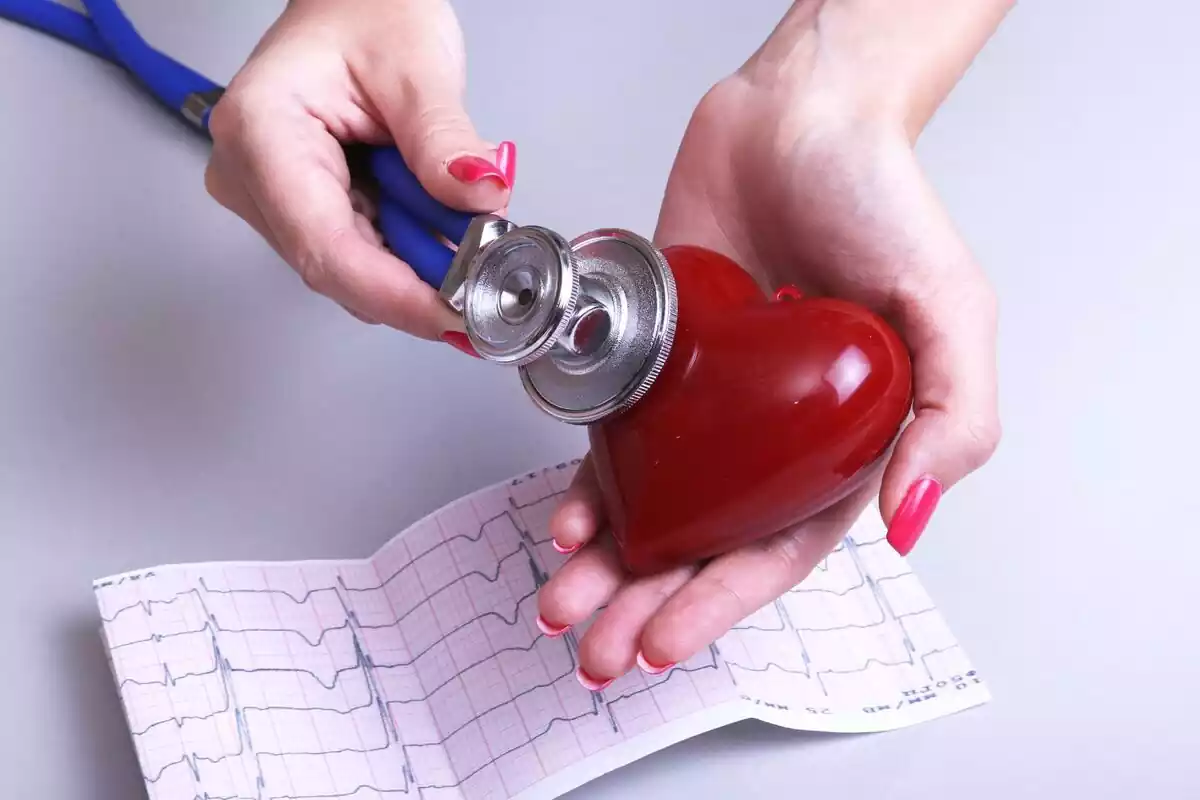 Manos comprobando los latidos de un corazón de plástico Manos comprobando los latidos de un corazón de plástico