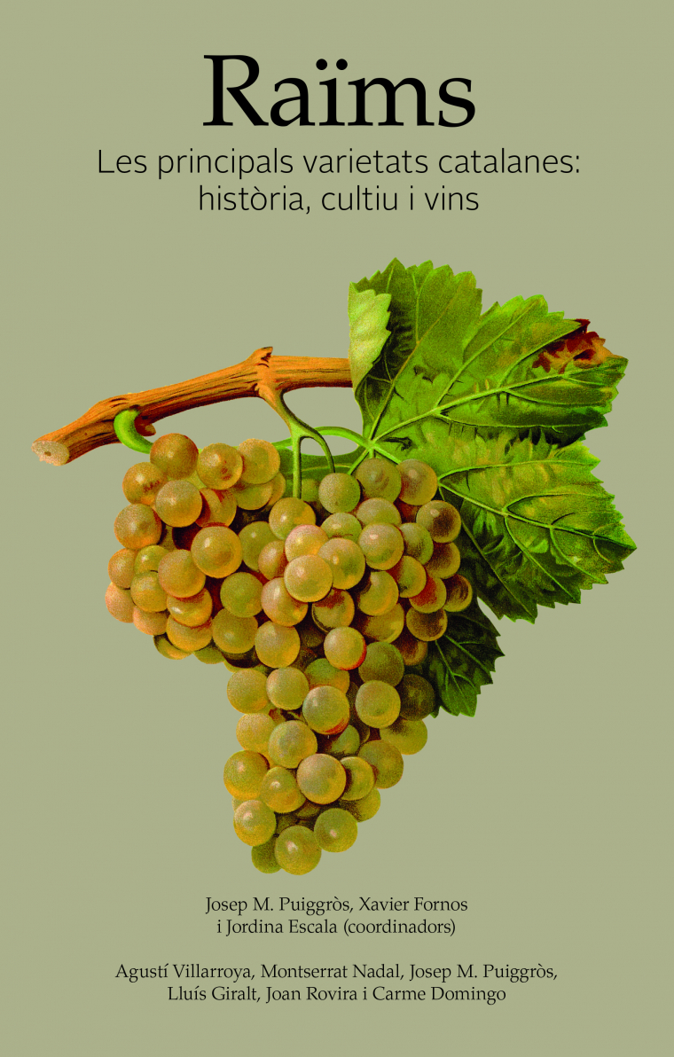 Raïms. Les principals varietats catalanes: història, cultiu i vins