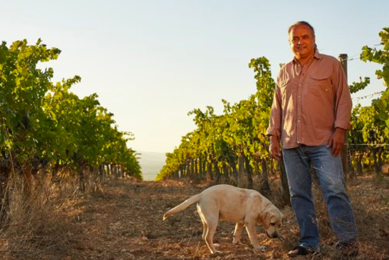 Josep Maria Albet i Noya, aposta per oferir alternatives als viticultors