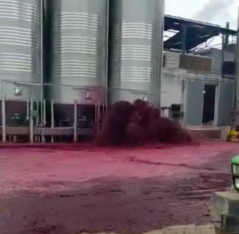 Es vessen 50.000 litres de vi d'un dipòsit d'una cooperativa d'Albacete