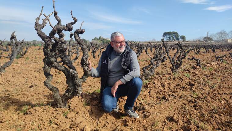 Jordi Ricarte, de Vins Font, entra avalat per més de 25 anys de trajectòria en el sector vitivinícola