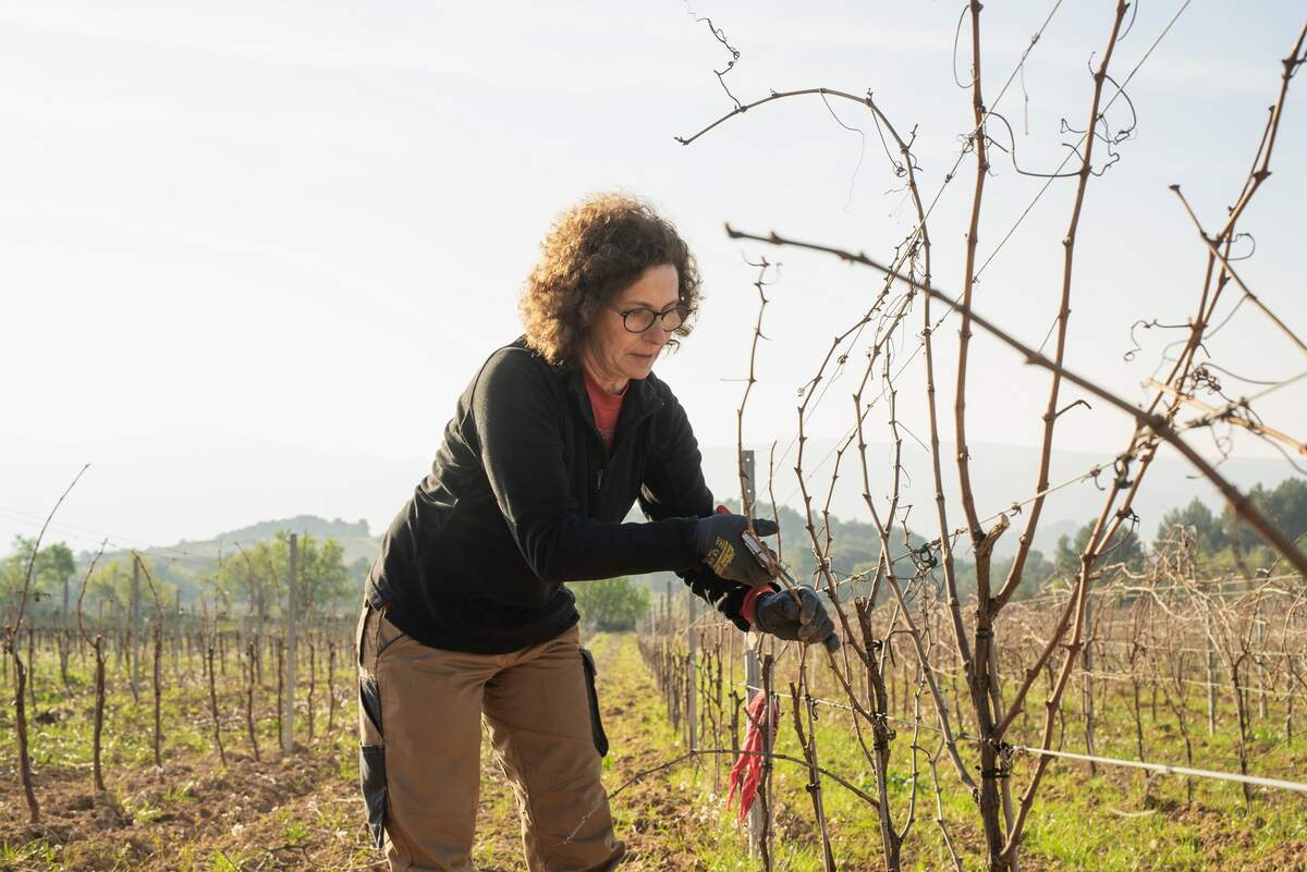 Isabel Vidal és responsable del sector de vinya de la JARC