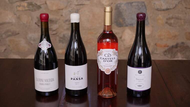 Quatre vins de la Conca elaborats amb trepat